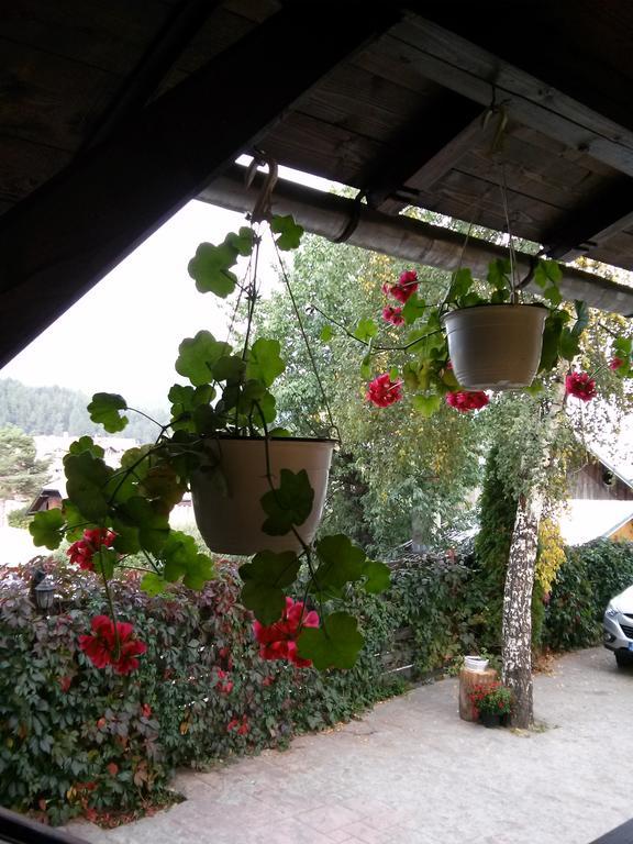 וטרה דורניי Vila Dariana מראה חיצוני תמונה