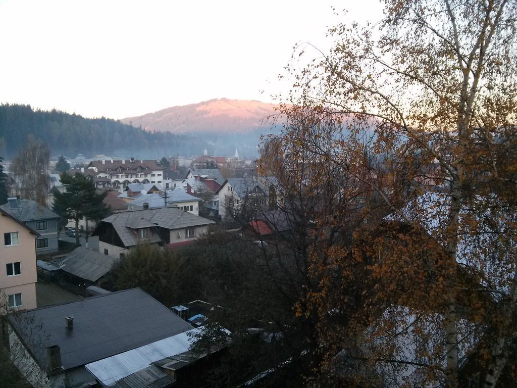 וטרה דורניי Vila Dariana מראה חיצוני תמונה